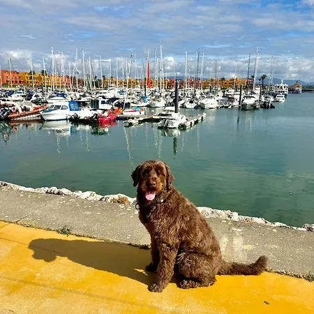 Blue Rocha - Front & Seaview